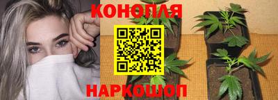 каннабис Пенза